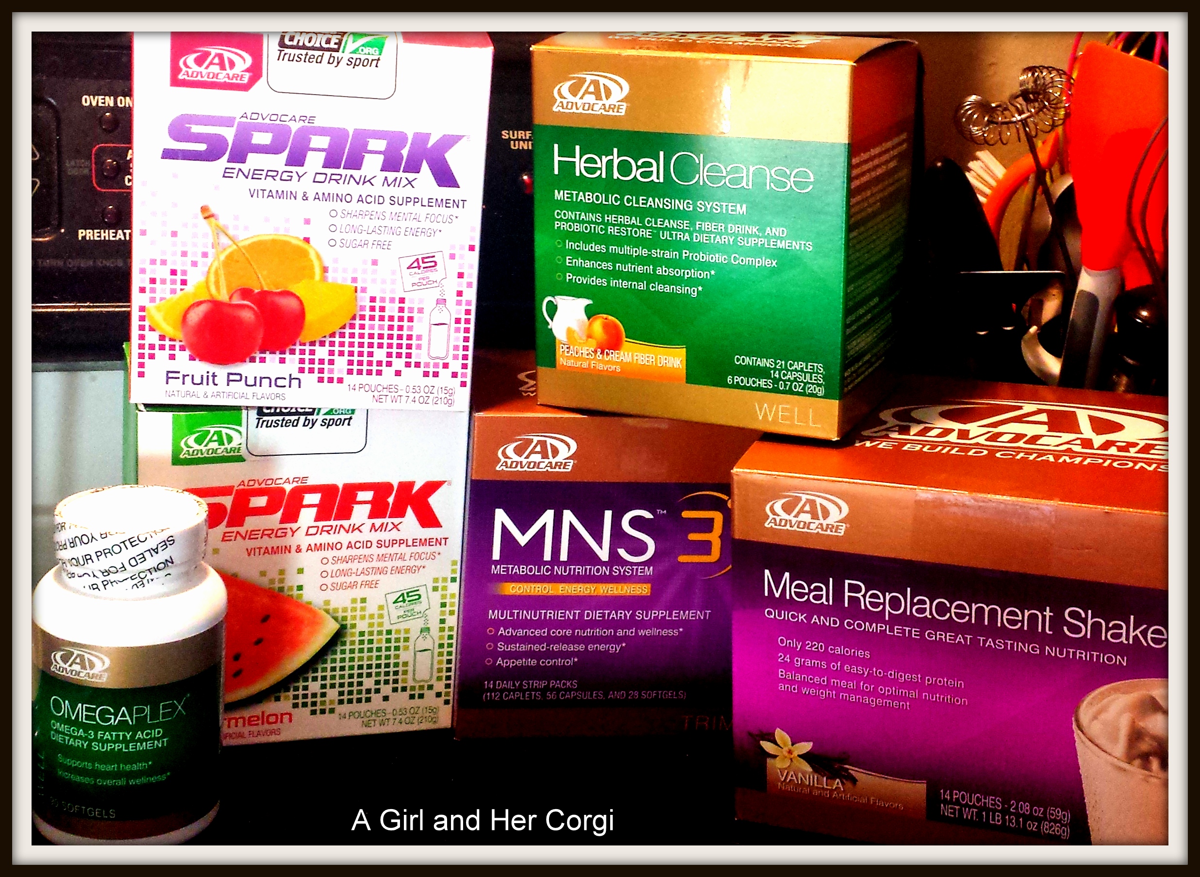 Advocare 24 Day Challenge: Days 17 & 18 – A Girl and her Corgi2472 x 1807